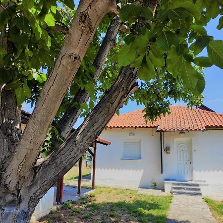 White Clam Vintage House With Sea View & Garden Villa Makrygialos Ngoại thất bức ảnh